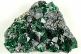 Fluorescent Green Fluorite On Galena - Diana Maria Mine #208850-1